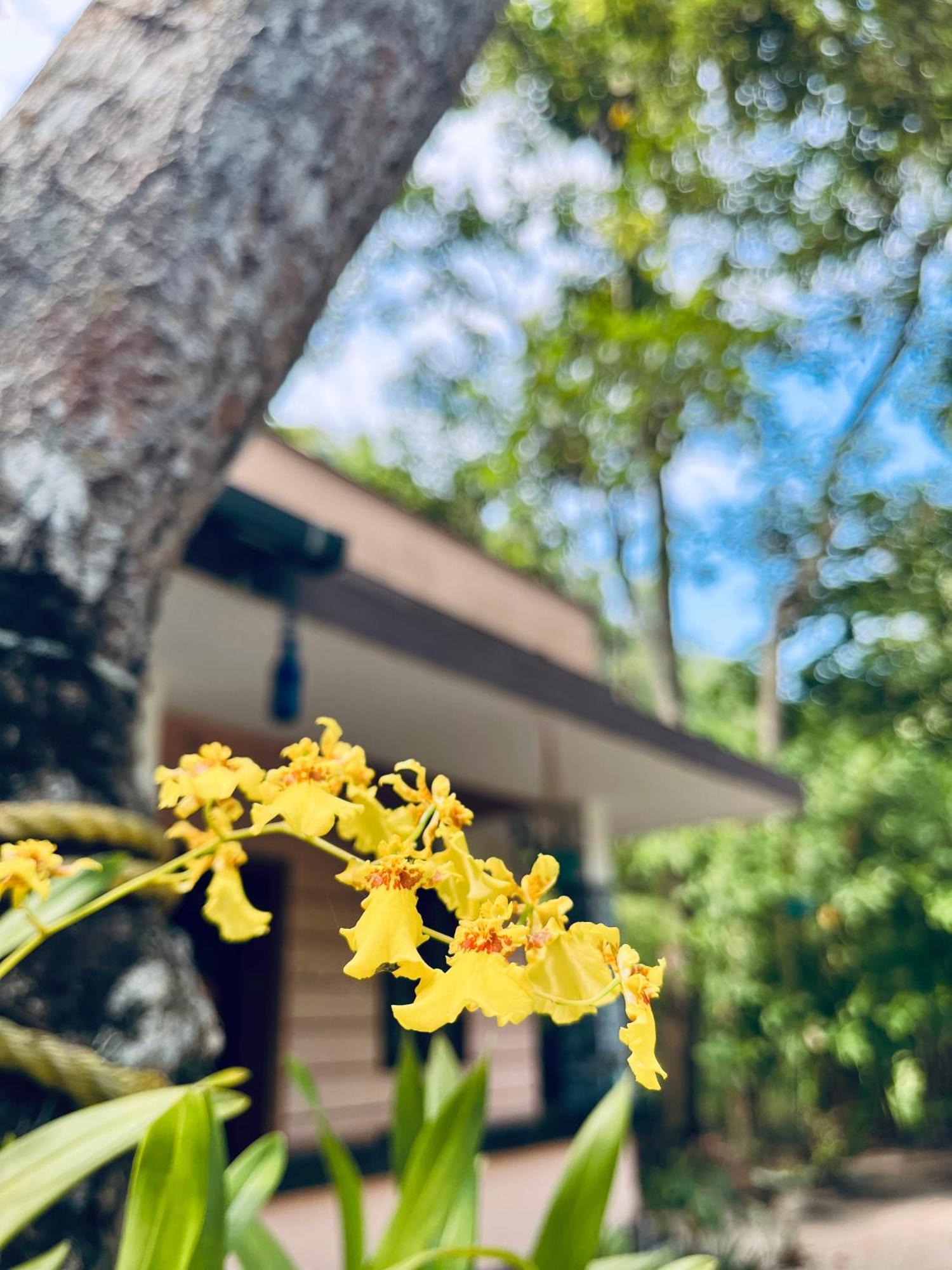 Marari Kallyani Beach Homestay Mararikulam Exterior foto